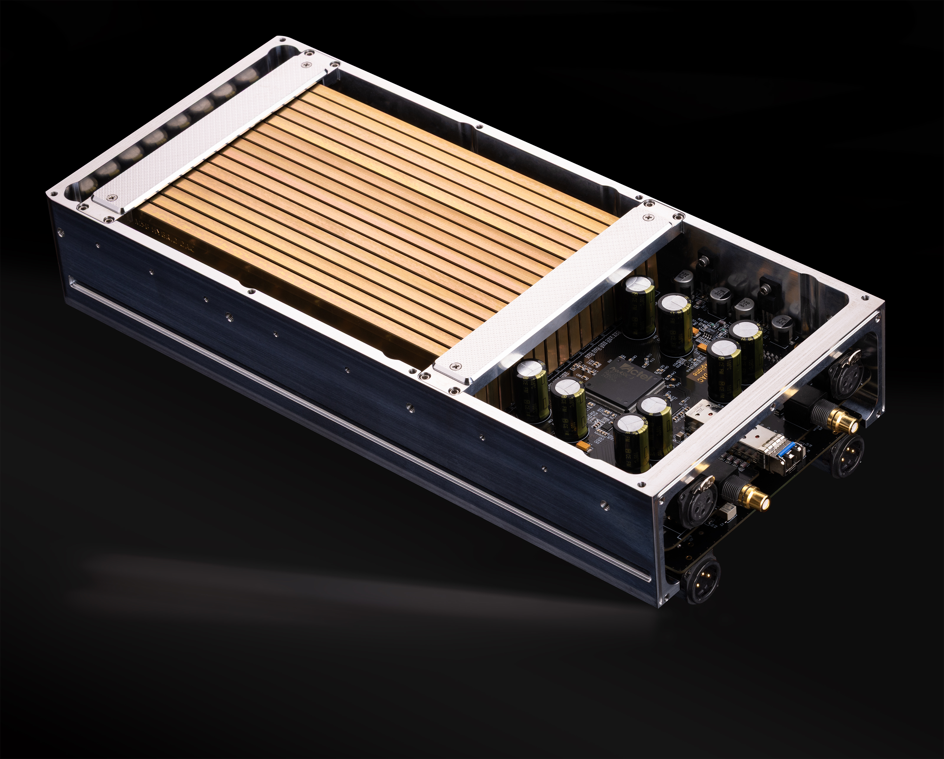 MSB Sentinel DAC — Sentinel mono-DAC assembly